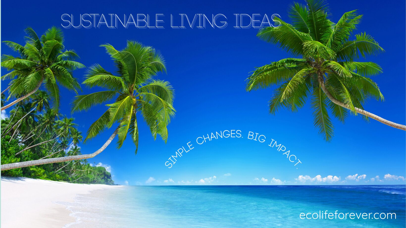 Sustainable Living ideas - beach with palms on a sunny day